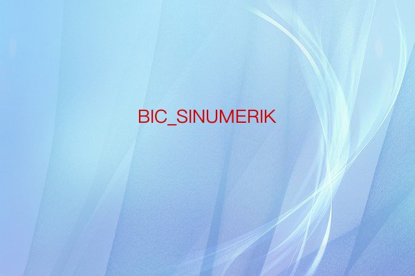 BIC_SINUMERIK