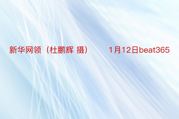 新华网领（杜鹏辉 摄）　　1月12日beat365